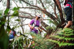 BIB: 
                            <button type="button" onclick="openModal(26299783)" class="btn btn-primary btn-sm float-right btn-popup" data-toggle="modal" data-target=".modal-high-quality">
                        <i class="fas fa-shopping-cart"></i> Add to Cart
                    </button>
                                            <button type="button" onclick="isThisMe(26299783, true)" class="btn btn-success btn-sm float-right btn-popup btn-isme hidden" data-toggle="tooltip" data-placement="bottom" title="นี่คือรูปของคุณใช่ไหม คลิกที่นี่เพื่อเอาเข้าอัลบั้ม">
                        <i class="fas fa-plus"></i> Add to album
                    </button>
                    <button type="button" onclick="isThisMe(26299783, false)" class="btn btn-warning btn-sm float-right btn-popup btn-isnotme hidden">
                        <i class="fas fa-ban"></i> Remove from album
                    </button>